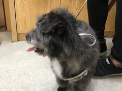-宠颐生宠物医院·心肾内科·猫专科诊疗中心宠巢店