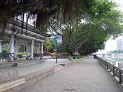 -光明港公园