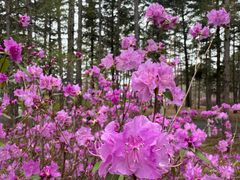 -长春市南湖公园