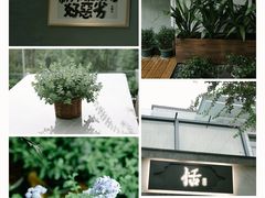 -恬阿姨庭院餐厅·生日宴