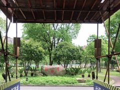 -上海市松江区泗泾医院