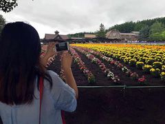 -富田农场