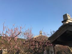 -无锡梅园公园