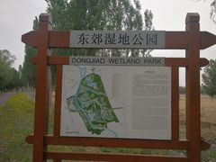 -东郊湿地公园
