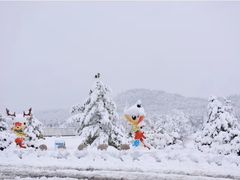 -塞罕坝国家级自然保护区