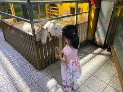 -上海大自然野生昆虫馆(东方明珠·爬宠昆虫探索中心)