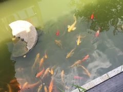 -武汉紫薇都市田园