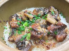 -红星光发煲仔饭(文海店)