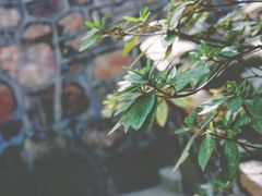 -兴福老面馆(寺路街店)