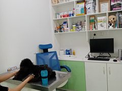 -汪喵宠物医院·骨科心脏影像·犬猫急重症ICU诊疗中心(成华分院)