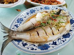 清蒸白水鱼-状元楼(金溪路店)