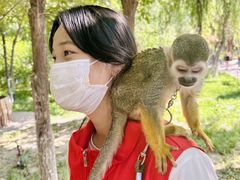 -水上乐园·欢乐世界