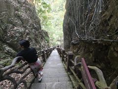 -刘伯温故里景区百丈漈