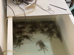 -湾里人家(旺山景区店)