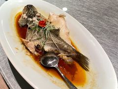 -稍可轩博物馆餐厅