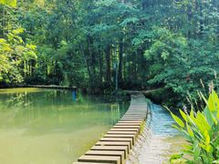-桤木河湿地公园