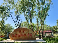 -太阳宫公园