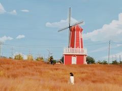 -羊亭河湿地公园