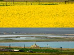 -青海湖国家重点风景名胜区