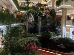 -白天鹅宾馆·流浮阁咖啡厅