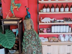 -兰纳泰式spa(古城店)