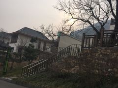 -徂徕山森林康养度假谷温泉