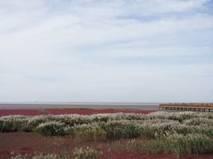 -红海滩国家风景廊道