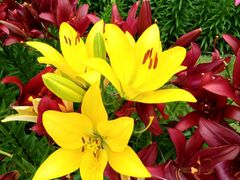 -长春公园(普阳街道)