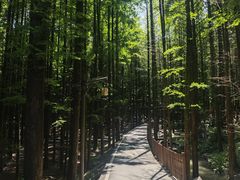 -山王坪喀斯特国家生态公园