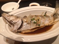 -闻莺馆(柳浪闻莺店)