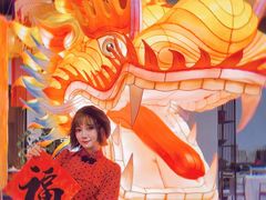 -禧宴Joyous Restaurant(禧园店)