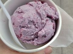 蓝莓雪糕-哈根达斯(天河城店)