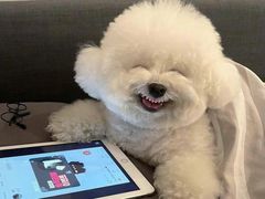 -鸭味先老鸭粉丝馆(瑞金路二号四号小区店)