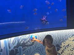 -沈阳海洋探索中心