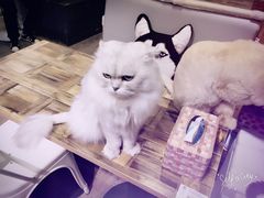 -小时光咖啡馆(开森度假森林店)