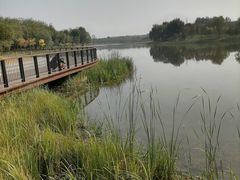 -东郊湿地公园