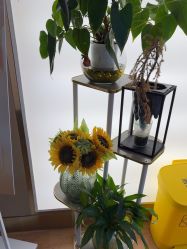 -杭州海亮医院 · 禾芸嘉医美中心