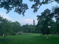 -江心屿景区