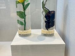 -广东中医药博物馆
