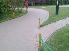 android_upload_pic-紫荆山公园