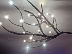 -墨宴(西洋湖店)