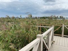 -鹦鹉洲湿地公园