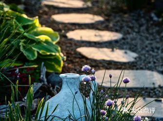 莲园之上 从日暮到星辰