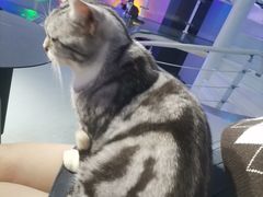 -极木²邸 人与宠物·互动社区