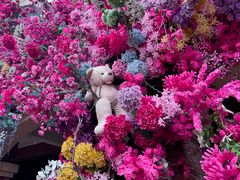 -荷兰花海