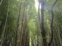 -同里国家湿地公园