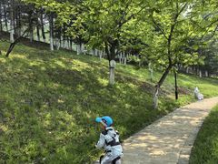 -王府井奥莱棋盘山小镇