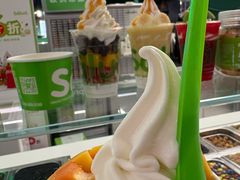 -Salud撒露欧洲冻酸奶(五道口购物中心店)