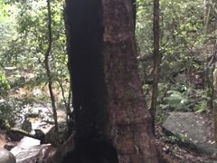 -七仙岭温泉国家森林公园