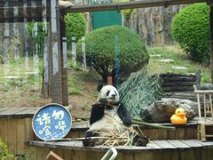 -大连森林动物园